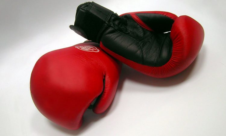 cral boxe news